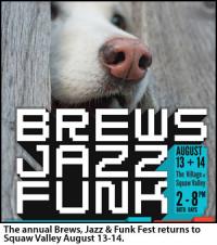 Brews, Jazz and Funk Festival - Squaw Valley USA