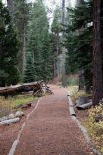 Donner Memorial State Park (Courtesy Sierra State Parks)