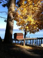 Sugar Pine Point State Park - Courtesy Sierra State Parks