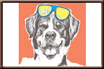 Peaks & Paws Festival - Village at Palisades Tahoe