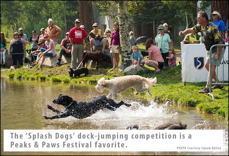 Squaw Valley Peaks & Paws Festival