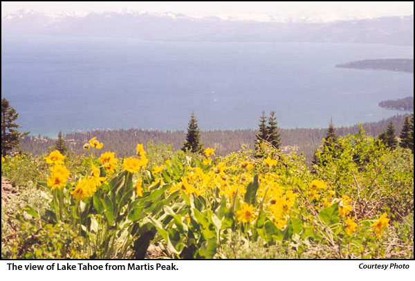 View of Lake Tahoe from Martis Peak