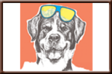 Peaks & Paws Festival - Village at Palisades Tahoe
