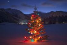 Palisades Tahoe | Alpine Meadows - Holiday Events