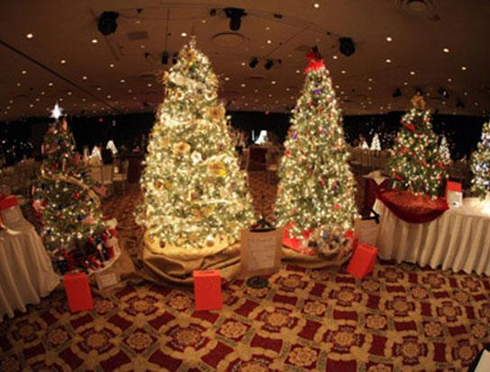 Festival of Trees and Lights